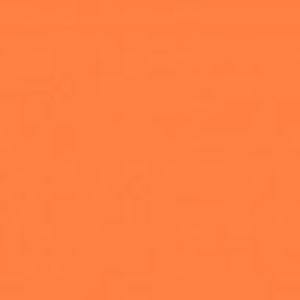 Meet your Posher, Muriel